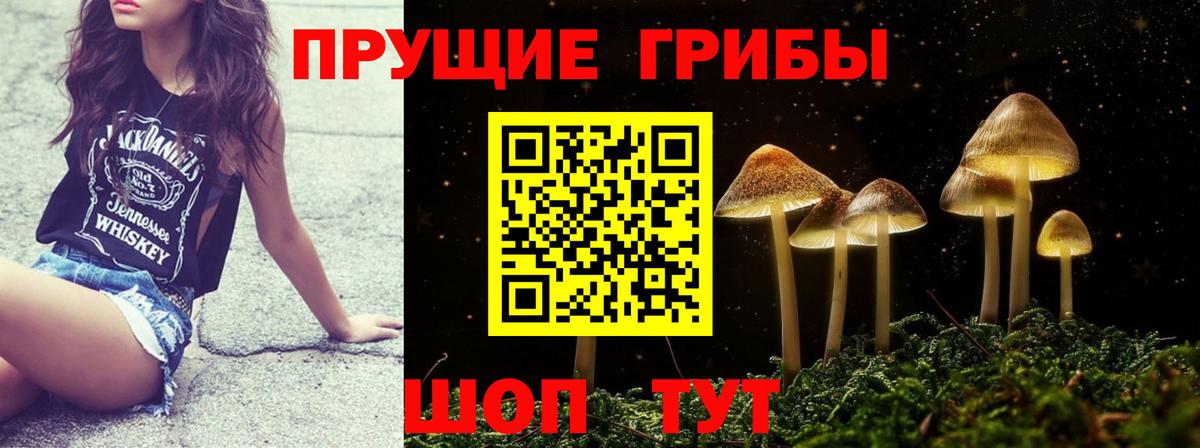 Вязьма  закладка  Вход с VPN  Галлюциногенные грибы Psilocybe 
